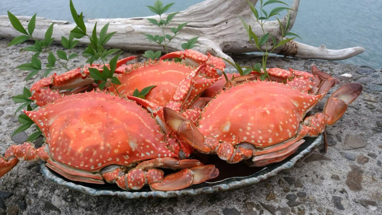 0139_甲ら家_食事処_001.jpg